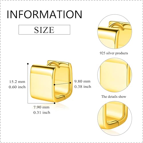 ONE: Thick Hoops Earrings Sterling Silver 925 Sterling Silver 14K Gold Plated Jewelry CZ