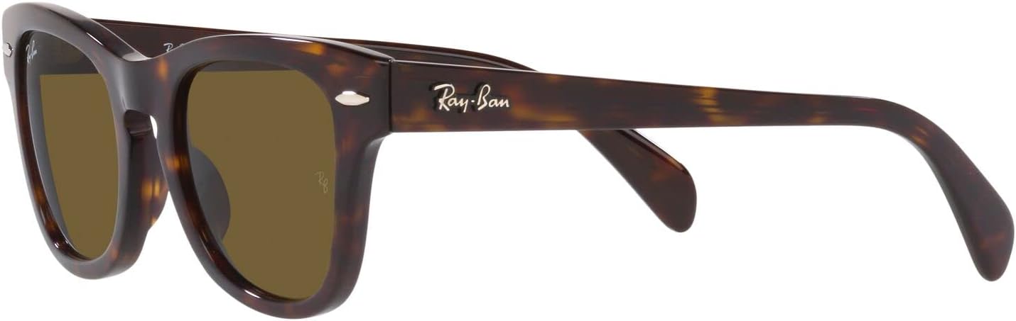 Designer Sunglasses for Men and Women