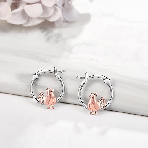 ONE: 925 Sterling Silver Hoop Earrings  Jewelry CZ