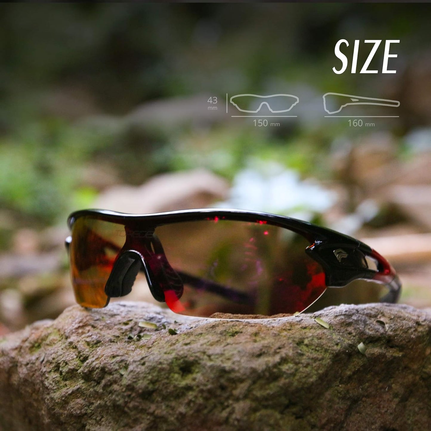 Designer Sunglasses for Men and Women