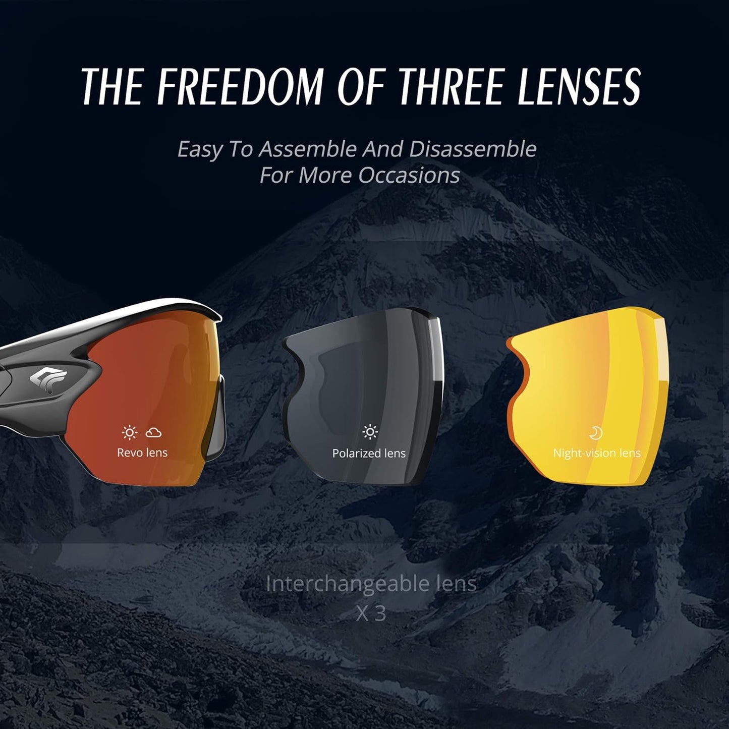 Designer Sunglasses for Men and Women