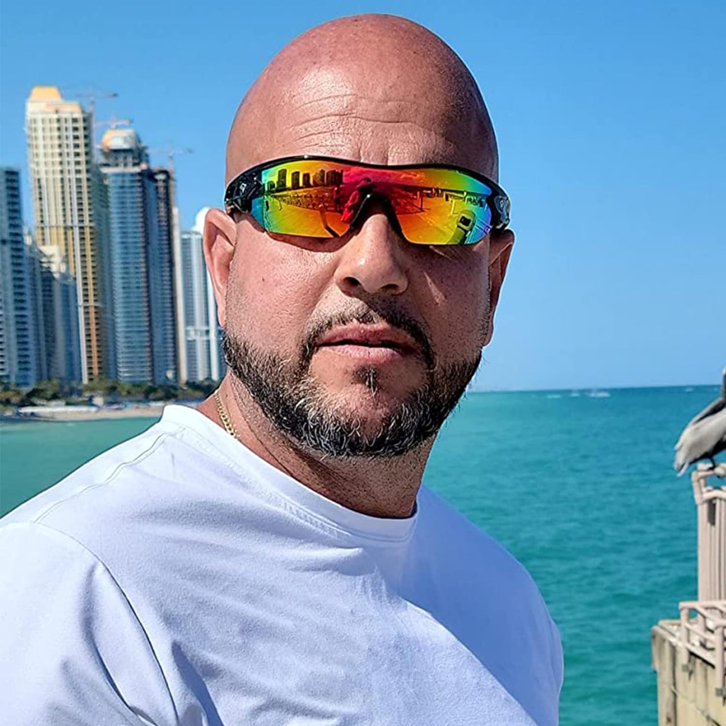 Designer Sunglasses for Men and Women