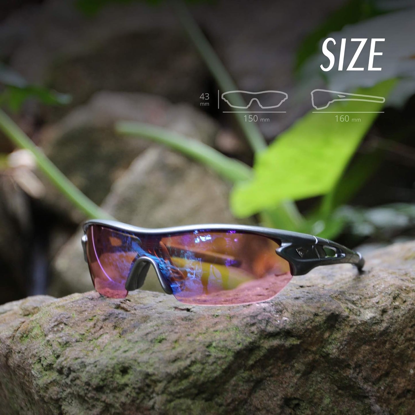 Designer Sunglasses for Men and Women