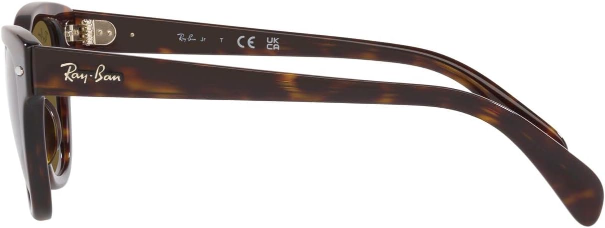 Designer Sunglasses for Men and Women