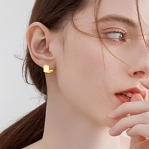 ONE: Thick Hoops Earrings Sterling Silver 925 Sterling Silver 14K Gold Plated Jewelry CZ