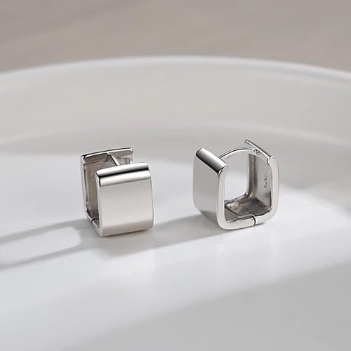 ONE: Thick Hoops Earrings Sterling Silver 925 Sterling Silver 14K Gold Plated Jewelry CZ