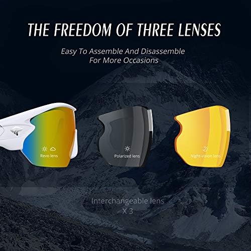 Designer Sunglasses for Men and Women