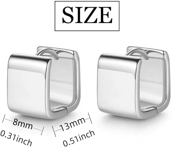 ONE: Thick Hoops Earrings Sterling Silver 925 Sterling Silver 14K Gold Plated Jewelry CZ