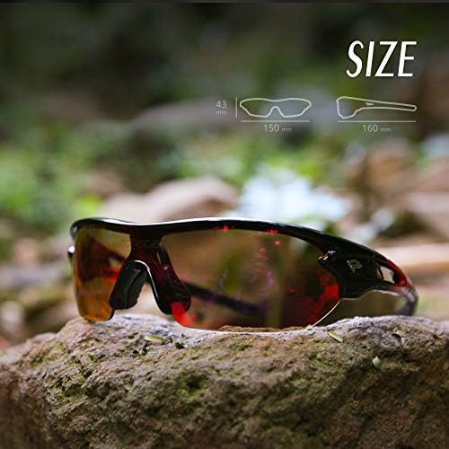 Designer Sunglasses for Men and Women