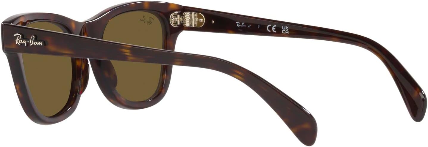 Designer Sunglasses for Men and Women