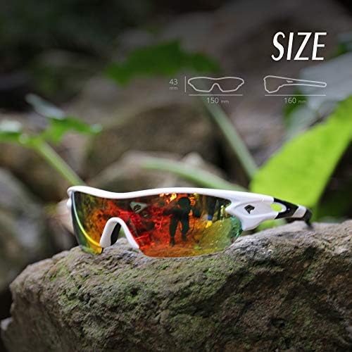Designer Sunglasses for Men and Women