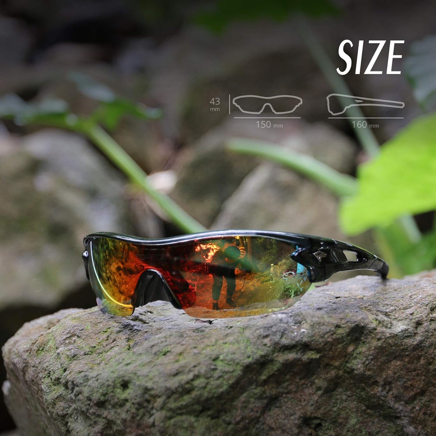 Designer Sunglasses for Men and Women