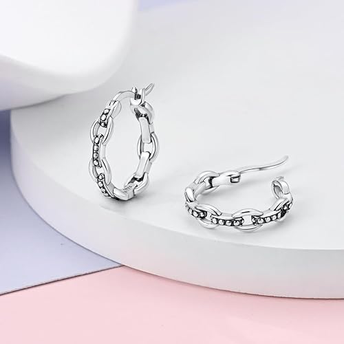 ONE: 925 Sterling Silver Hoop Earrings 14K Gold Plated Jewelry CZ