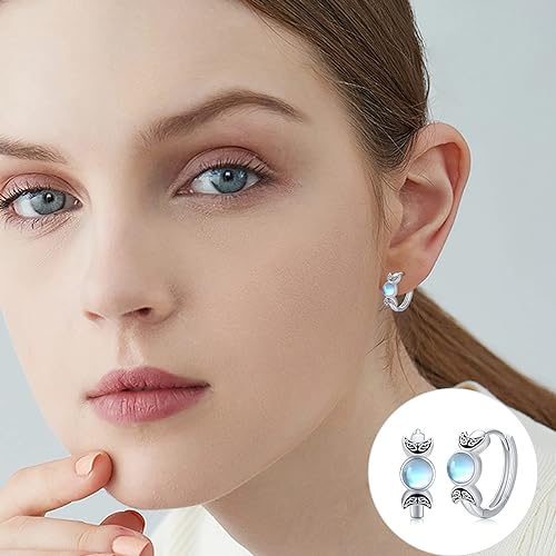 ONE: Exquisite Color: MOONSTONE Dangle Earrings 925 Sterling Silver