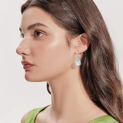 ONE:  Exquisite Earrings Color: Moonstone Dangle Earrings 925 Sterling Silver