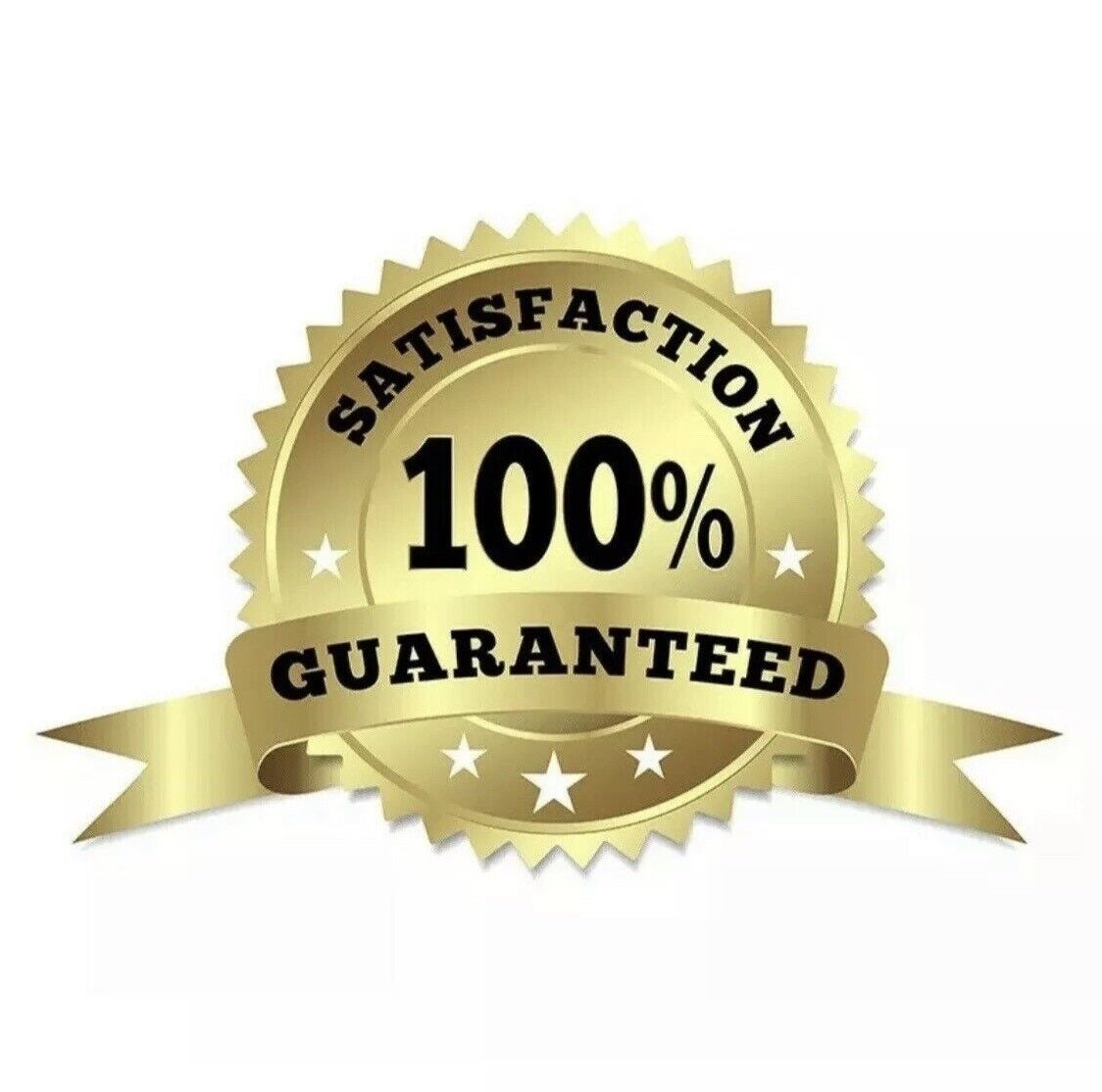 ONE: Style: Dragonfly HOOP Earring Earring 925 Sterling Silver