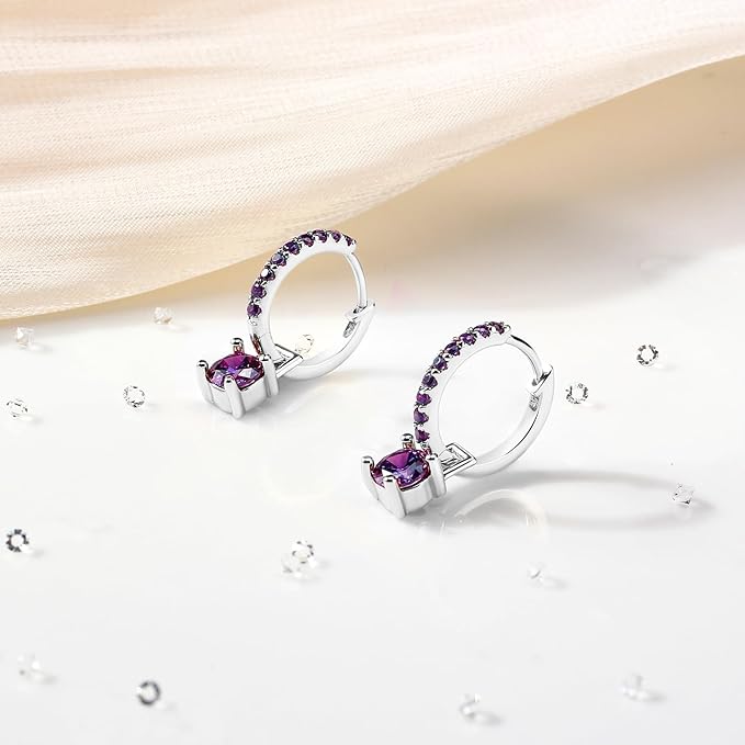 ONE PAIR: Gorgeous HOOP EARRINGS February Month Rhodium Plated Sterling Silver